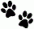 paw_print